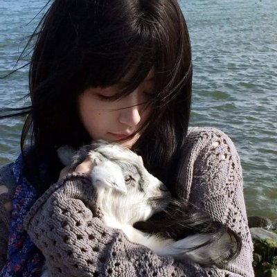 新进职员:电影版